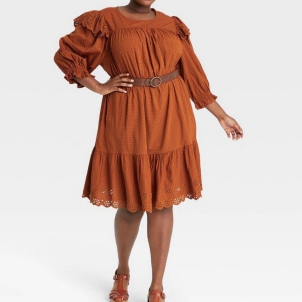 📌FINAL SALE  |Universal Thread | Ruffled Tiered Balloon Sleeve Dress